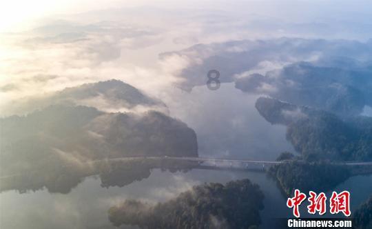 三都:引进龙头企业 带动养殖产业发展